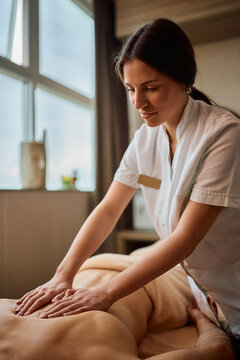 Professional back massage therapy at the spa.