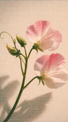 Obraz premium Delicate floral mobile wallpaper