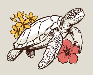 Sea turtle illustration, tropical hibiscus flowers, plumeria botanical art, hawaiian honu, marine life sketch, vintage nautical design © srina