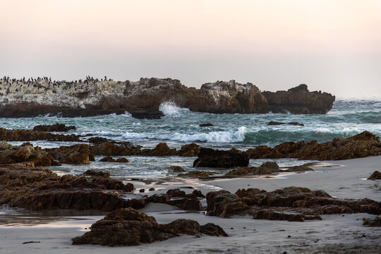 beautiful rugged rocky coastline of Kammabaai Beach, Hermanus, South Africa at sunset and dusk