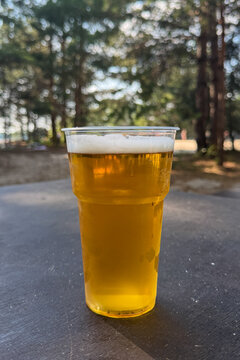 Golden beer in clear glass with frothy head