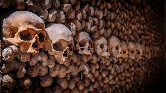 Row of human skulls lining a wall of stacked bones and receding into darkness in the Paris Catacombs ossuary