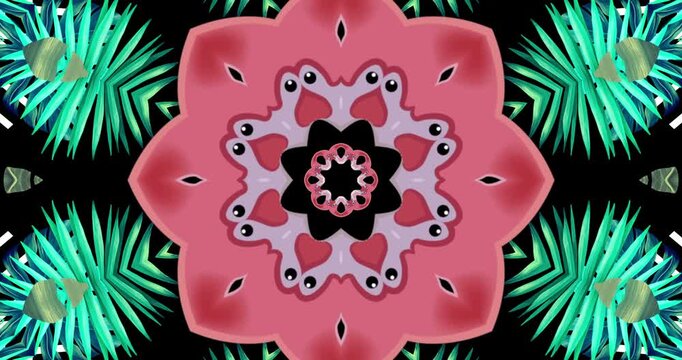 Kaleida Tropical Leaves 6. Summer background Visual Loops. 4K