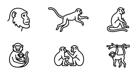 Fototapeta premium Monkey Icon Set, Primate Vector Graphics, Simian Line Art Collection, Cute Animal Illustrations for Nature and Wildlife Projects