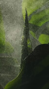 Water mist splashing on new monstera leaf in slow motion, refreshing botanical background.
