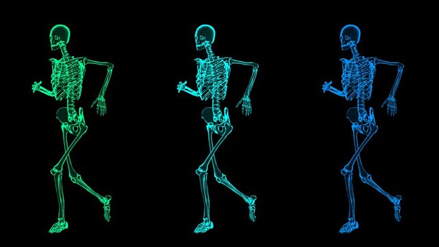 3D Female Skeletal System Slow Run Cycle Perspective View Multicolor Hologram