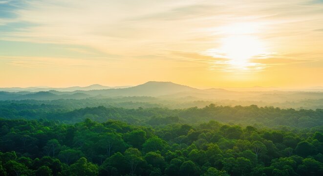 Beautiful sunrise illuminating a dense forest, creating a calm and inspiring natural environment.