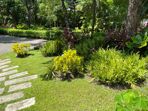 Tropical Garden Ideas : Create a low-maintenance paradise with a vibrant mix of colorful foliage.