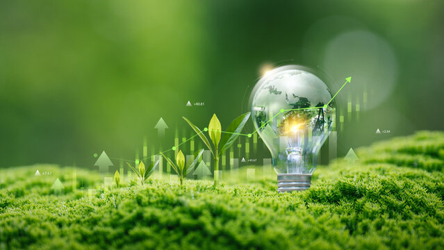 Green energy innovation with  renewable investment, ESG strategy for sustainable business and environmental. growing plants, and light bulb with globe. eco technology, clean growth