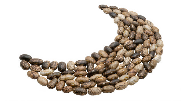 Crescent moon shape made of dry brown pinto beans isolated on transparent background