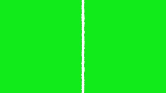 hand drawn vertical straight line animation