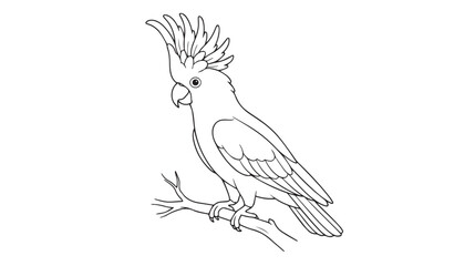 Cockatoo line art vector illustration, tropical parrot sitting on a branch, exotic bird coloring page for kids and adults isolated on White Background