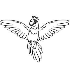 Cute cockatoo bird flying front view with wide wings cartoon vector illustration. © The Creative Idea