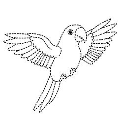 Cute cockatoo bird flying with spread wings in dotted outline vector style. © The Creative Idea