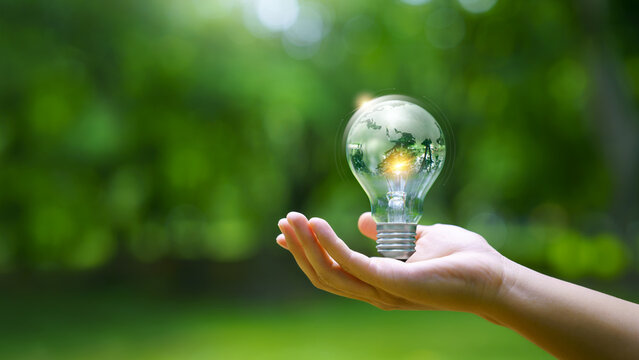 Renewable energy and energy transition concept. clean power for sustainability, green technology to decarbonization, Hand holding light bulb with green globe for sustainable environment and earth day