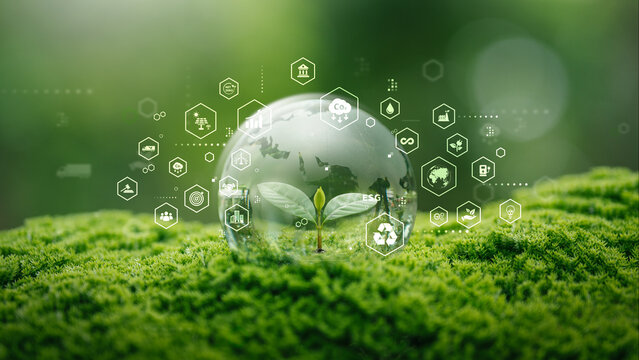 Crystal globe with plant on moss and ecology and sustainable environment icons in green forest for esg concept. Decarbonization to Net zero. Energy renewable, Eco-friendly green business and earth day