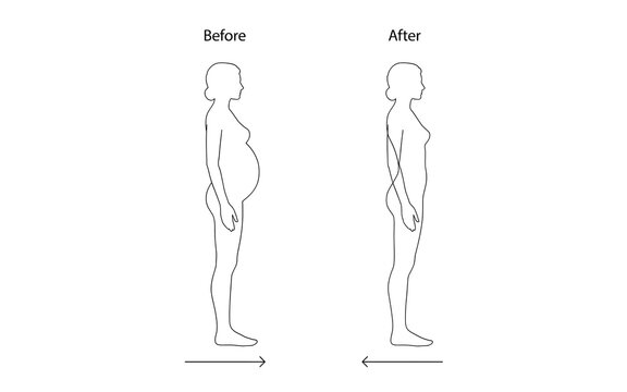 Illustration comparing a person's posture and body shape before and after a transformation showing weight loss or improved posture