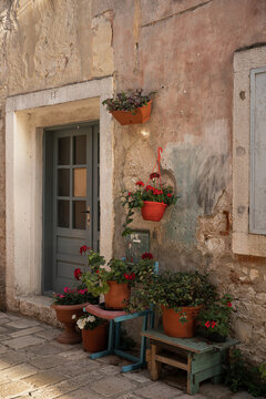 Charming Doorway with Potted Plants