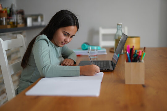 Young female child using laptop during tutoring private class - School, education and childhood concept