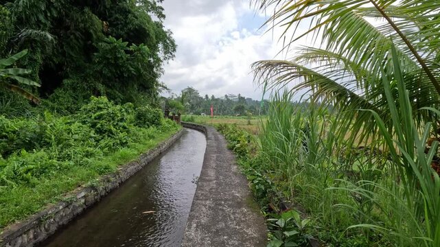 A concrete path runs alongside a river canal on Bali island, bordered by rice fields, trees, red and green flags, under a cloudy sky on a rainy day.