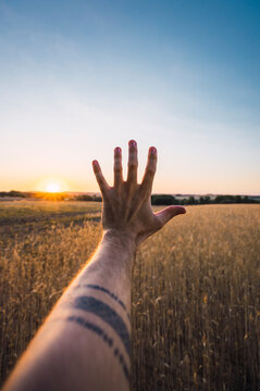 Man's hand reaching for evening sun
