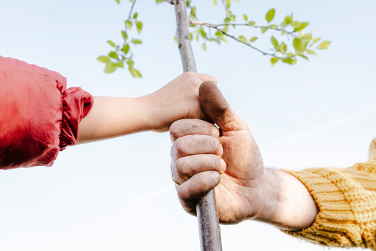 Father and daughter holding plant stem