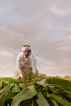 Happy farmer working in field