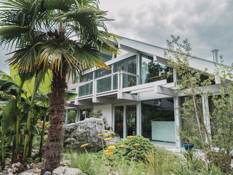 Modern timber frame villa with lush garden and palm trees