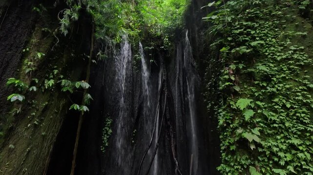 A wide shot of a tropical waterfall cascading between two black cliffs on Bali island, surrounded by dense jungle, hanging vines, and lush green moss.