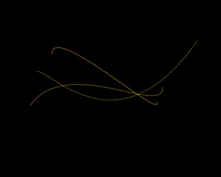 Abstract golden light lines glowing with smooth curves and thin motion trails isolated on a deep black background for design