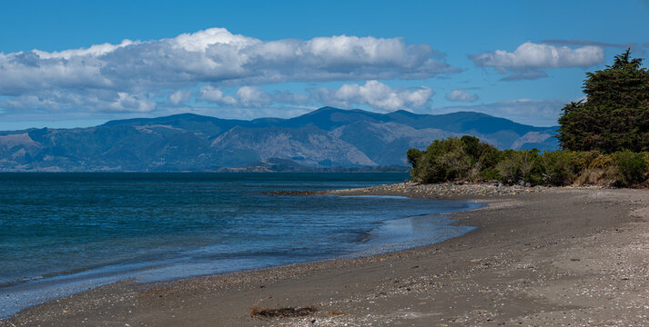 Parapara Beach, Golden Bay, Collingwood, Tasman District, S&uuml;dinsel, Neuseeland, Sandstrand mit Treibholz, Metrosideros excelsa, Kunzea ericoides, K&uuml;stenlandschaft