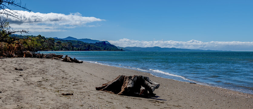 Parapara Beach, Golden Bay, Collingwood, Tasman District, S&uuml;dinsel, Neuseeland, Sandstrand mit Treibholz, Metrosideros excelsa, Kunzea ericoides, K&uuml;stenlandschaft