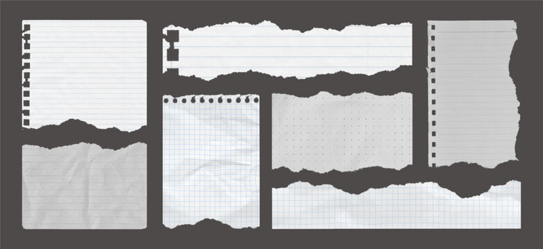 
Set of torn paper sheets. Collection of mixed ripped paper kraft paper, grid paper, dots notebook paper note on transparent background