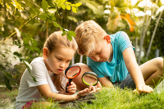 Curious Children Exploring Nature With Magnifying Glasses During Outdoor Science Adventure
