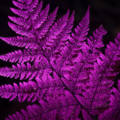 LANDSCAPES OF NATURE - Forest fern in the sunlight © Wojciech Wrzesień