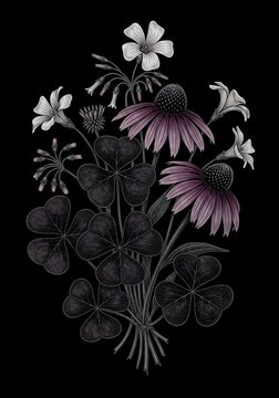 Twilight Bloom: A charcoal sketch whispers secrets of ephemeral beauty.