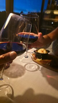 Couple toasting with wine at a lavish dinner