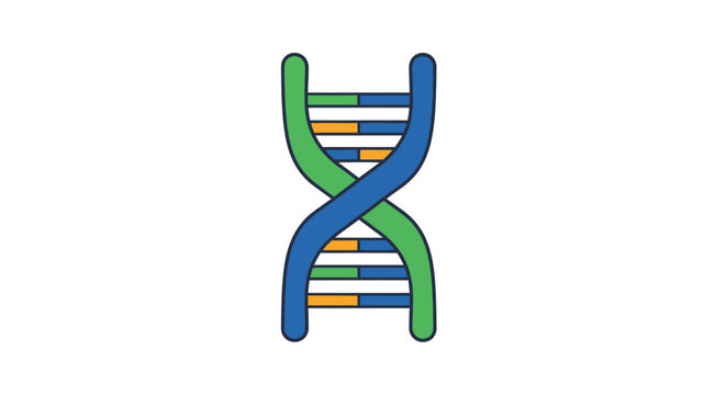 DNA double helix structure model.