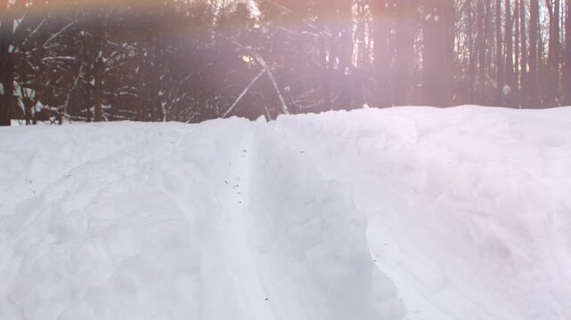 A ski track in a winter park. A close-up of snow with a forest in the background. Beautiful highlights from the bright sun in good weather.