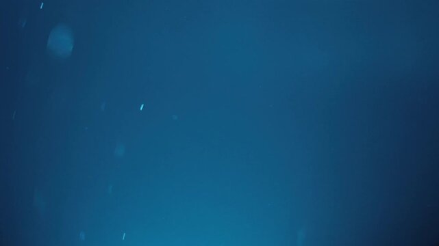 Abstract blue background with floating particles and subtle light effects, digital data, technology, and futuristic concepts. This clean and minimal motion graphic serves as an ideal overlay or