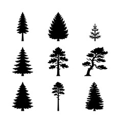 Obraz premium Diverse Evergreen Tree Silhouettes Collection, Pine and Fir Vector Icons, Natural Forest Elements for Design