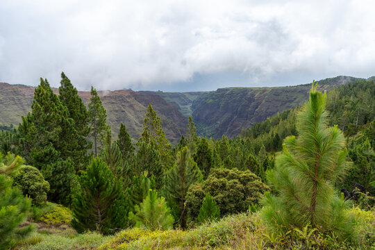 Verdant canyon landscape of Nuku Hiva in the Marquesas Islands, Polynesia