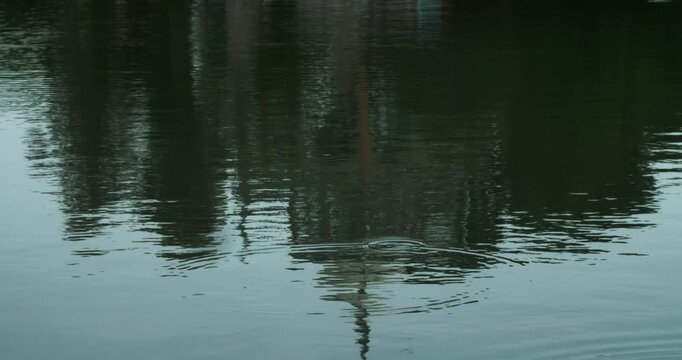 Reflection in the water of the basin of the ancient complex emir's summer residence Sitorai Mohi Xosa.