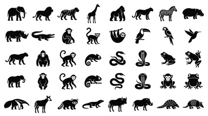 Large collection of forty black silhouette icons representing diverse wild animals, including African safari mammals, jungle primates, tropical birds, reptiles, and amphibians on white.