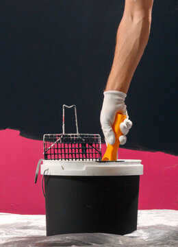 Paint roller in paint bucket during interior wall painting and renovation