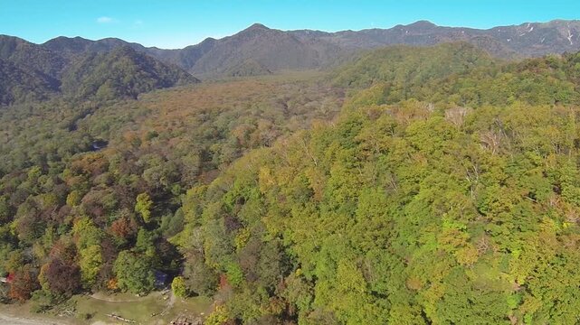千手が浜の俯瞰