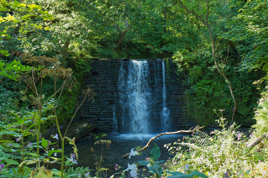 A waterfall cascades over a stone wall amidst lush green forest foliage, collecting in a small pool - Ashworth Valley, Rochdale, UK