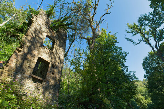 An old stone ruin stands amidst lush green trees, with crumbling walls and empty window frames beneath a bright blue sky - Ashworth Valley, Rochdale, UK