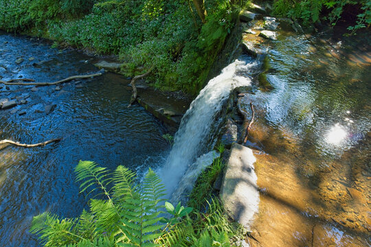 A landscape photo features a small waterfall tumbling into a river, framed by lush green foliage and trees in sunlight - Ashworth Valley, Rochdale, UK