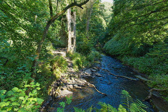 A serene landscape photograph features a winding river flowing through a dense green forest, with a distant weathered stone structure nestled among the trees - Ashworth Valley, Rochdale, UK